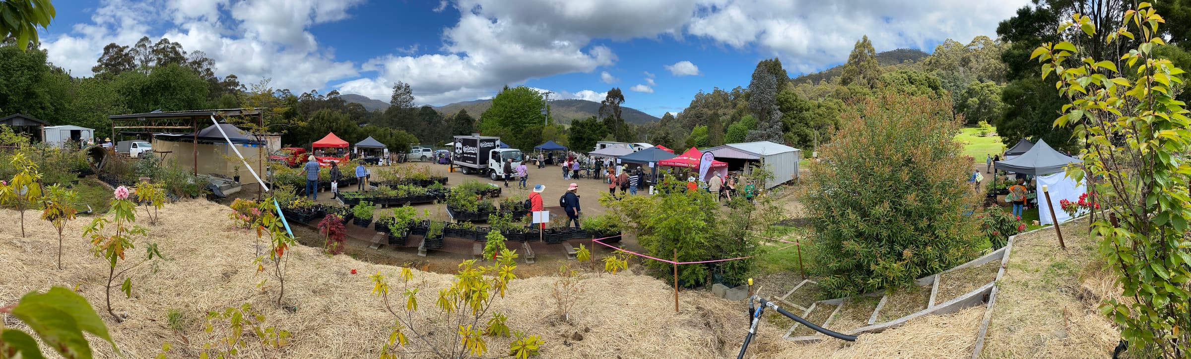 panoramic view of entrance to spring fair