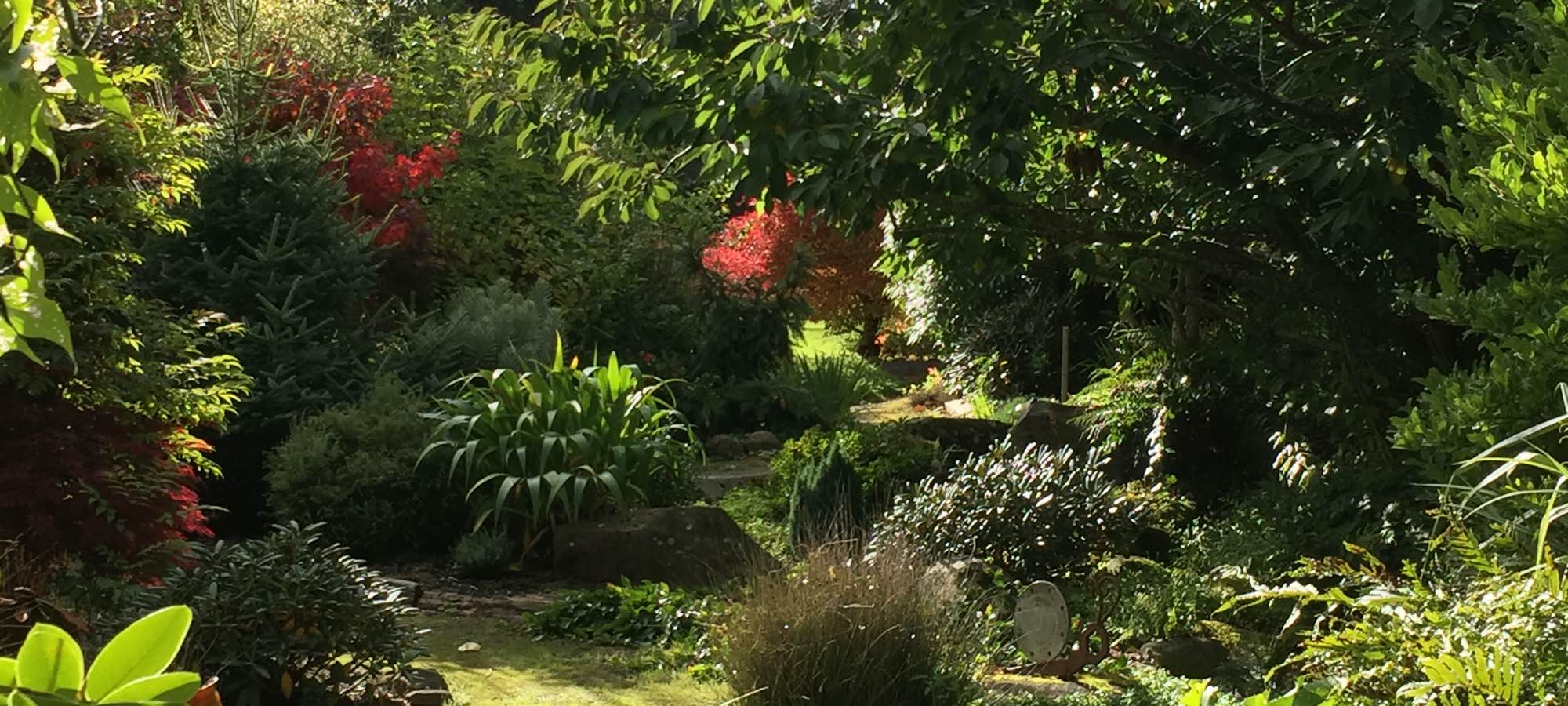 scene in garden