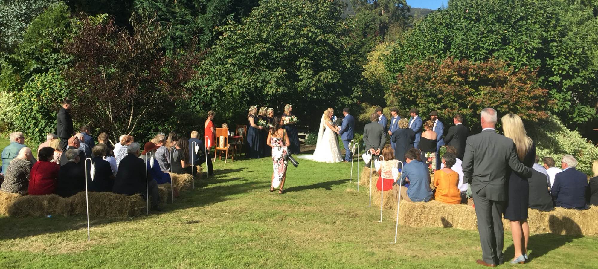 The bride and groom say I do in  Crawleighwood Garden on a beautiful sunny day